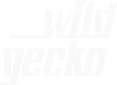 Wild Gecko