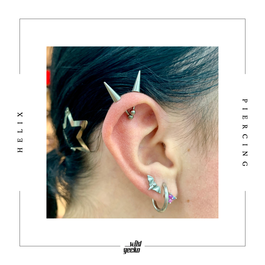 Helix-piercing med spets - Wild Gecko, Hallarna